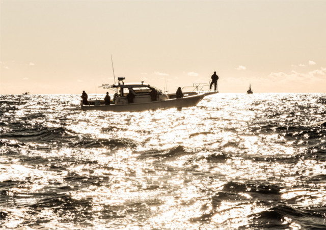 松輪の釣り船「第八日の出丸」で広大な海を感じよう